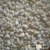 New crop organic white maize/corn from Africa