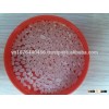 Japonica rice -Viber/WhatsApp/Tango: +84.905.209.103 Email: anthony.vilaconic@gmail.com