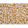 Yellow Maize/Corn