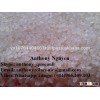 Round Grain Japonica Rice (Viber/Whatsapp/Tango: +84905.209.103 -Email: anthony.vilaconic@gmail.com
