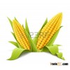 Yellow Corn