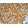 Best quality yellow corn