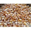 High Quality Yellow Corn Exporter