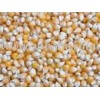 Yellow Maize Best Quality - Animal Feed