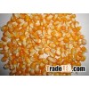 yellow corn/maize for animal- poultry- cattle feed