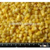 hot sale high quality frozen sweet corn price