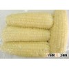 FROZEN CORN KERNEL - HIGH QUALITY - VIET NAM