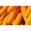 Corn Yellow Maize