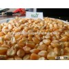 Yellow Maize