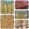 BEST SELLER: SWEET CORN WITH BEST QUALITY