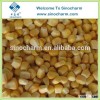 High Quality Frozen Sweet Corns