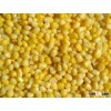 Sweet Yellow Corn available now