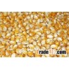 Good Quality Yellow maize Grade 1 available