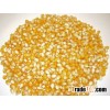 Yellow corn from Ukraine for animal