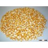 dried Yellow Corn For Exportation