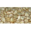 Animal Feed White Maize
