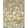 white corn