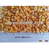 Yellow corn feed