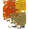 Yellow Lentils , Red Lentils , Sugar , Cashew , Walnut , other food products