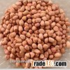 chinese groundnuts/peanuts for sale