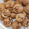 Raw Pecan Nuts in shell