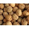 Superior Quality 2013 Inshell Walnuts