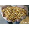 Corn 14/2/5+5
