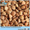 Green Roasted Buckwheat/Buckwheat Grain