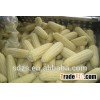 good quality white maize for food