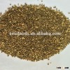 green broomcorn millets japanese millet