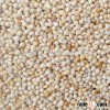 bulk white millet