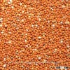 RED MILLET