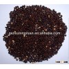 black broomcorn millet