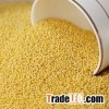 Yellow millet for sale