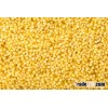 yellow millet, Glutinous Yellow Millet, millet for feeding, bird seeds