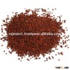 finger millet