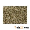 white millet seeds