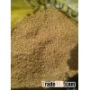 Millet (yellow)