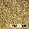 Yellow millet