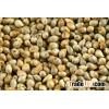 Red Millat Seeds