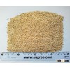 new crop polished yellow millet - fast , quality, cheap