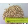 pearl barley