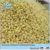 2012 New Crop, yellow millet,non-glutinous millet, with high quality...