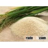RICE GRAIN - VARIOUS VARITIES