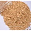 Dried Proso millet,Panicum miliaceum,Yellow millet,Common millet,Hog millet,Broomcorn millet,Shu zi,