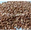 Roast Buckwheat kernels