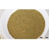 Green Millet for Market price with Good Quality
