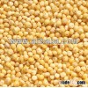 BEST QUALITY ORGANIC MILLET