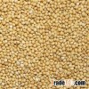 White millet/ Red Mille/ Yellow Mille/ Black Mille