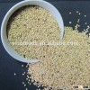 dried white millets gujarat natural millet